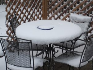 bowl sitting out to collect snow