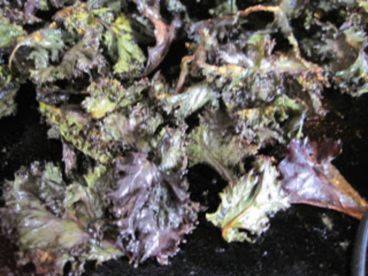 Kale Chips